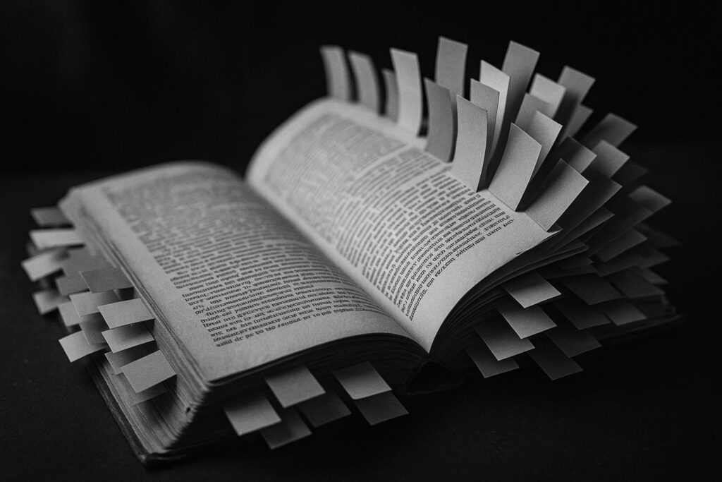 Brunswick schools implement innovative curriculum strategies to foster inclusivity and engagement